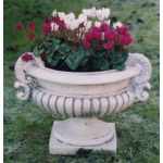Vase Trireme Blumenschale  Gross kaufen