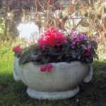 Blumen-Vase rund klein Blumentopf Garten