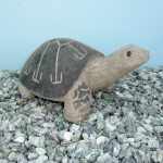 Schildkröte Surli Gartendekor Kaufen
