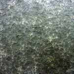 Gartenplatten Basalt schwarz Winterhart