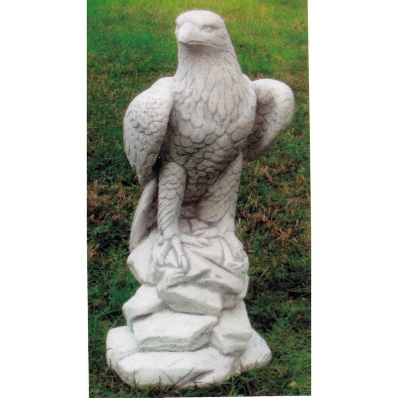 Adler auf Stein