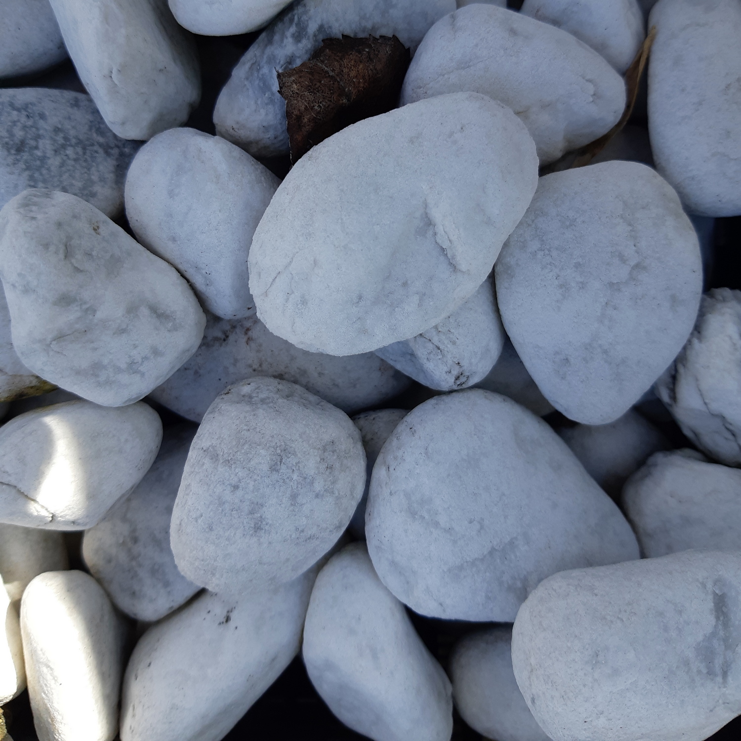 Rundkies Zier-gartenkies Carrara weiss