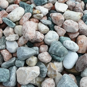 Rundkies Gartenkies Harlekin kaufen Farbig