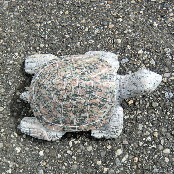 Wasserschidkrot Naturstein  kaufen