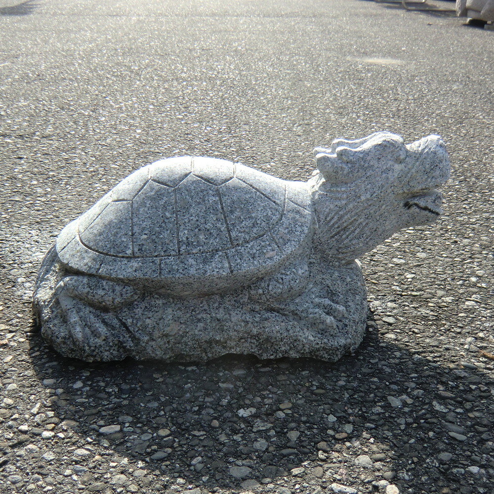 Schildkröte mit Drachenkopf  feng shui