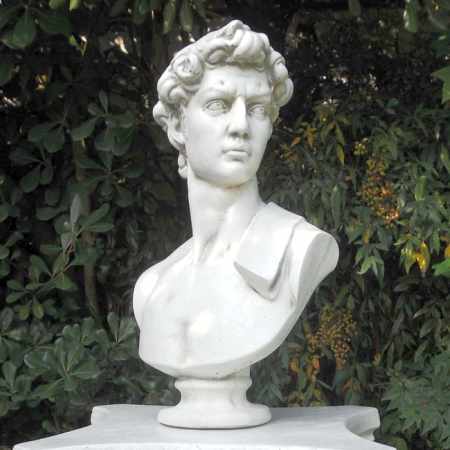Büste David