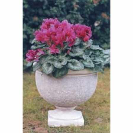 Blumentopf rund römisch Blumenkübel