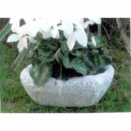 Blumentrog , archaisch, klein Winterhart