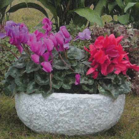 Blumenkübel Beton Winterhart kaufen