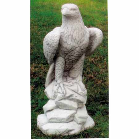 Adler auf Stein