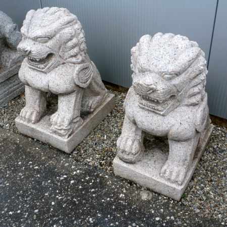 Tempel Hunde Terrador Paar Japangarten