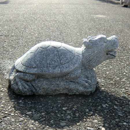 Schildkröte mit Drachenkopf  feng shui