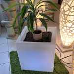 Blumentrog LED mit Farbwechsel