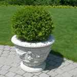 Blumentopf Ortensia gross Beton