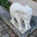 Elefant Sylvia